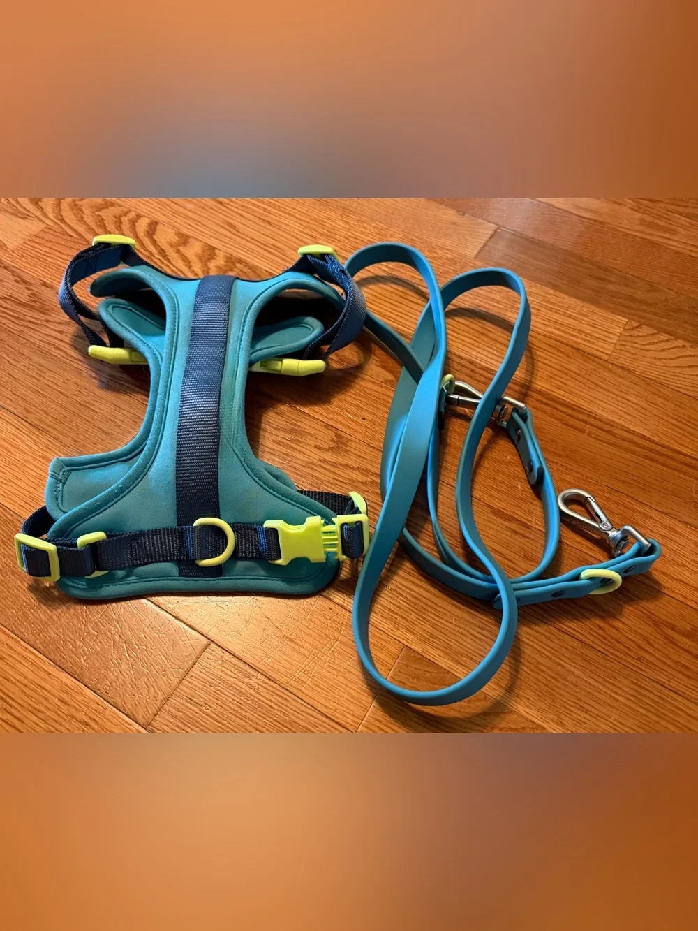 Limited Edition Wild One Cushioned Harness + Waterproof Leash Walk Kit - Medium